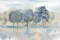 Treeline Reflection Landscape Poster Print by CoulterCynthia - Item # VARPDXRB13003CC